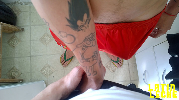 New Site Latin Leche